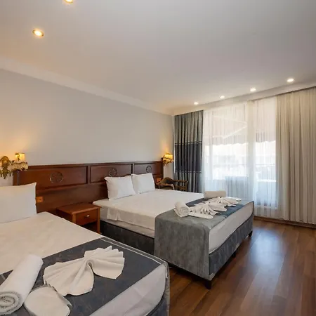 Hotel Valdivia Park *